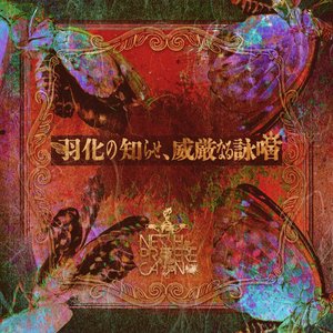 Image for 'The announcement of hatching, a majestic chant'