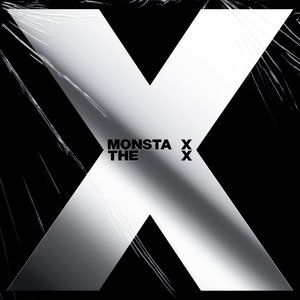 Image for 'THE X'