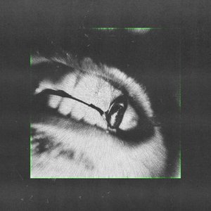 Image for 'Sx'