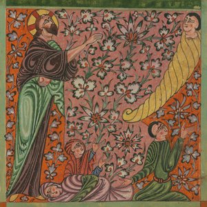 Изображение для 'Music Inspired by the Color of Pomegranates'