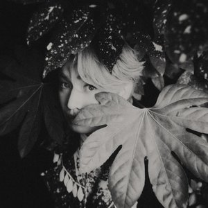 Image for '柳應廷'