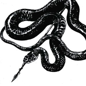 Image for 'Vice Grip'