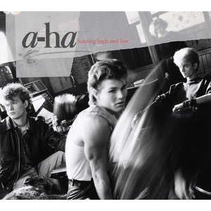 Image pour 'Hunting High and Low (Deluxe)'
