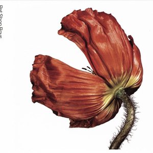 Image for 'Release / Further Listening 2001-2004'