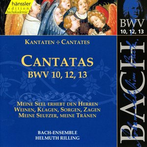 Image for 'Bach, J.S.: Cantatas, Bwv 10, 12, 13'