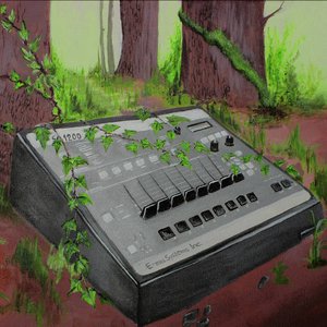 Image for 'Deep Into The Forest'