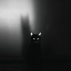 Image for 'MELODRAMATIC'