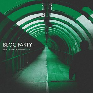 Image pour 'Now We Can't Be Friends Remixes'