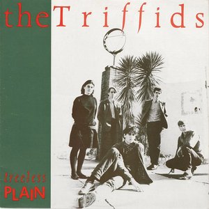 Image for 'Treeless Plain'