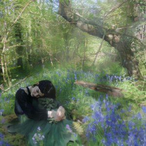 Image for 'Tales of Faebles wood'