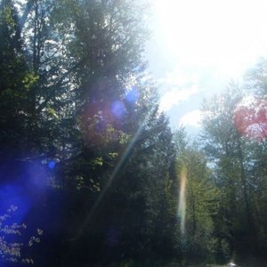 Bild für 'fading light'