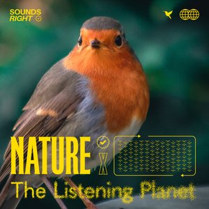 Image for 'Feathers in the Forest'