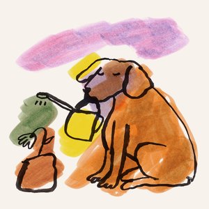 'Man’s Best Friend' için resim