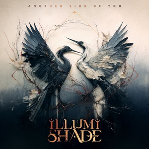 Изображение для 'Another Side of You'