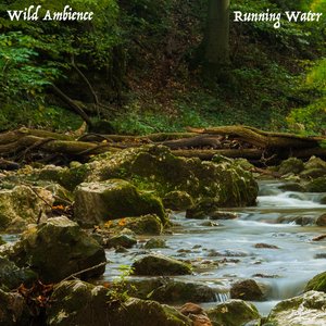 Image for 'Running Water'