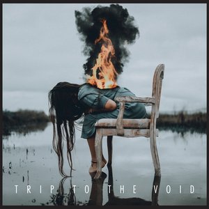 Image for 'Trip To The Void'