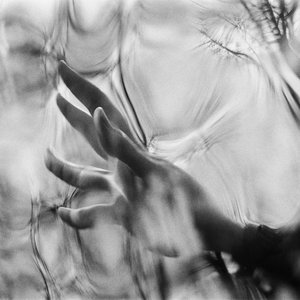 Image for 'Negatives'