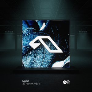 Image for '25 Years Of Anjuna Mixed By Marsh'