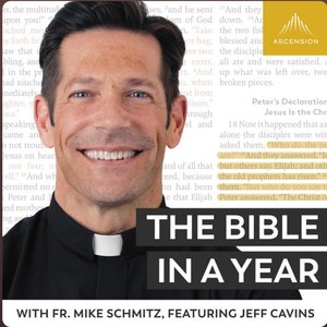 Image for 'The Bible in a Year (with Fr. Mike Schmitz)'