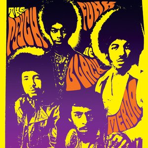 Image for 'The Psych-Funk of Black Merda'