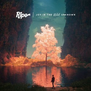 Immagine per 'Joy in the Wild Unknown'