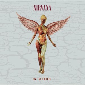 Image for 'In Utero (30th Anniversary Super Deluxe Edition)'