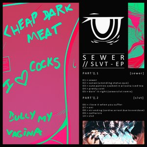 Image for 'Sewer//Slvt'
