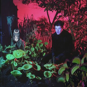 Image for 'Vjèze Fur'