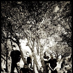 Image for 'Falling Leaves'