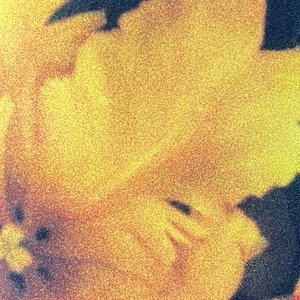 Image for 'Last Light of the Sun'