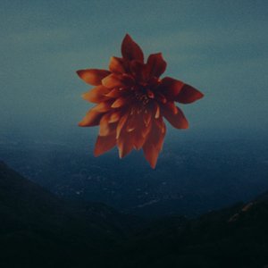 Image for 'Everybody Knows'