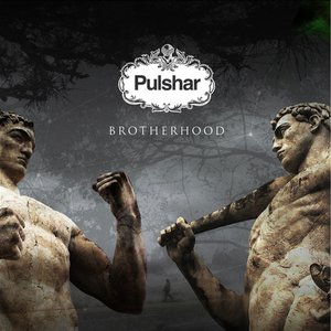 Image for 'Brotherhood'