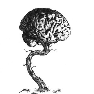 'Imaginations Treetrunk' için resim