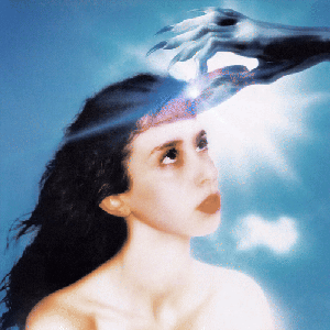 Image for 'Imaginal Disk'