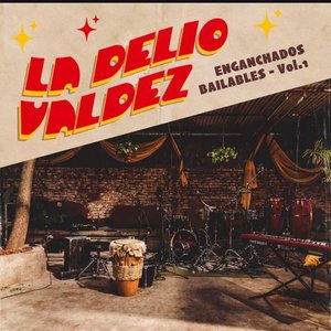 Bild für 'Enganchados Bailables, Vol. 1'