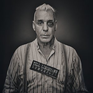 Image for 'Zunge 2025'