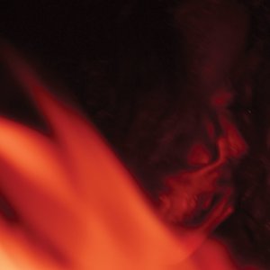 Image for '4D Country'