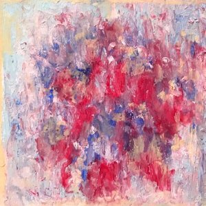 “Problematica del Jacarandá”的封面