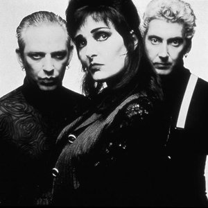 Image for 'Siouxsie and the Banshees'