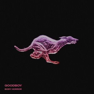 Bild für 'Goodboy - Single'