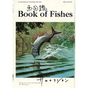 Image for '魚図鑑'