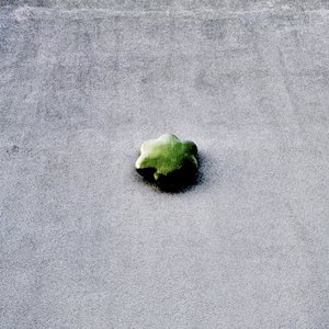 Image for 'splint ep'