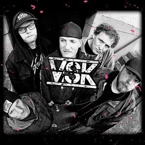 “VSK”的封面