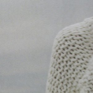 Image for 'The Elevated Quiet'