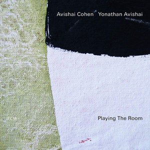 Image for 'Playing The Room'