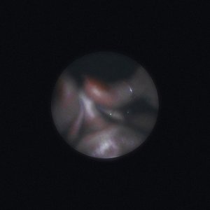 Image for 'SATELLITE'
