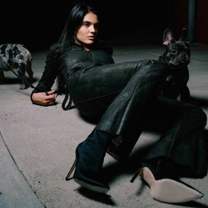 Image for 'puppy'