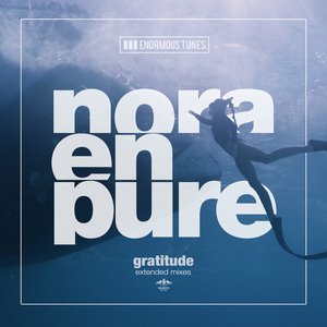 Image for 'Gratitude (Extended Mixes)'