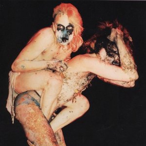Immagine per 'Virgin Prunes'