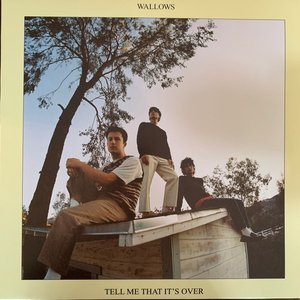“Tell Me That It's Over”的封面